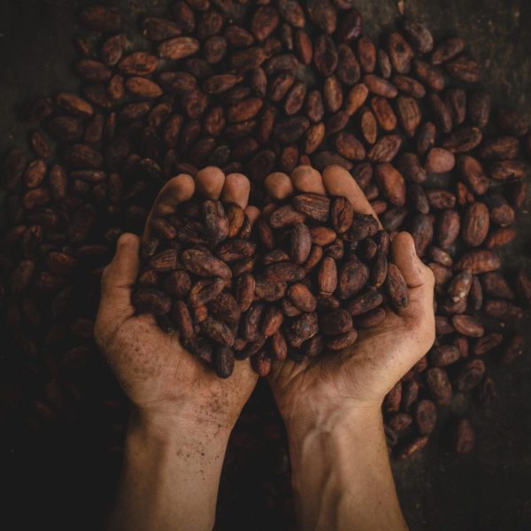 chocolat intense