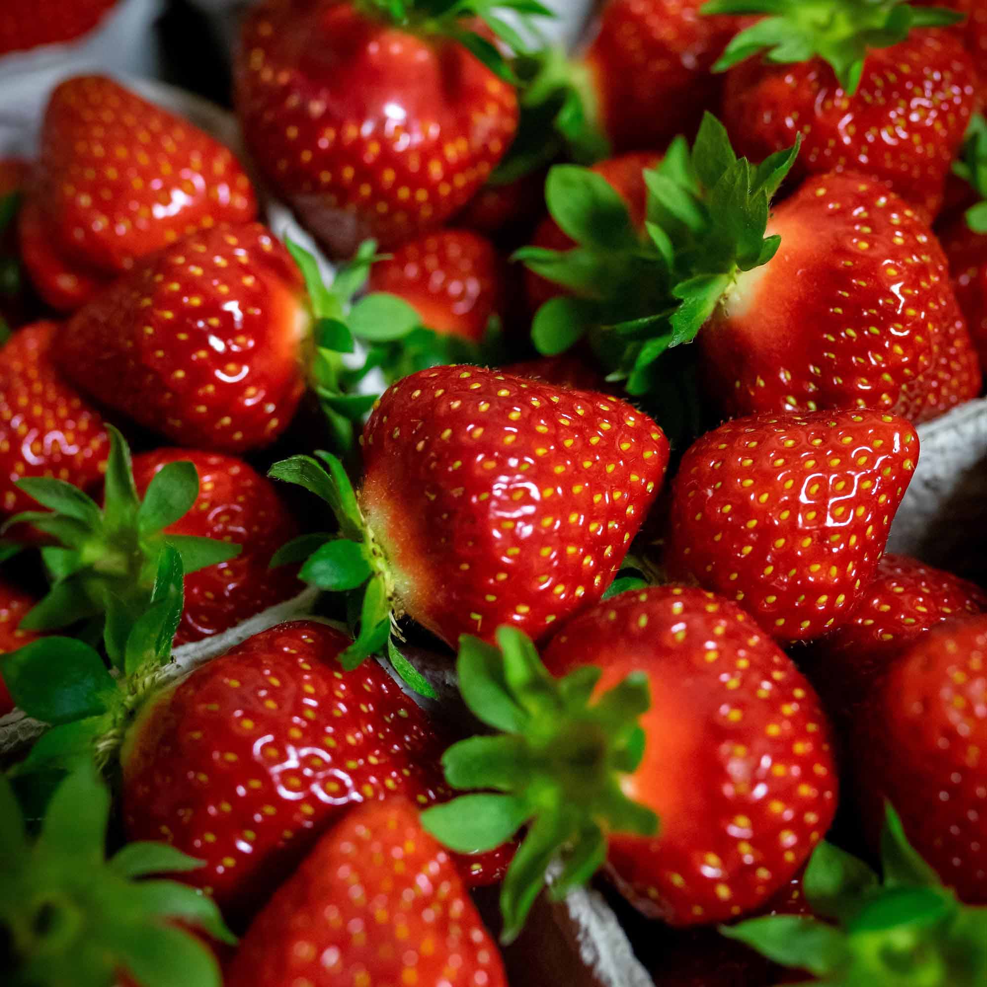 Sorbet fraise