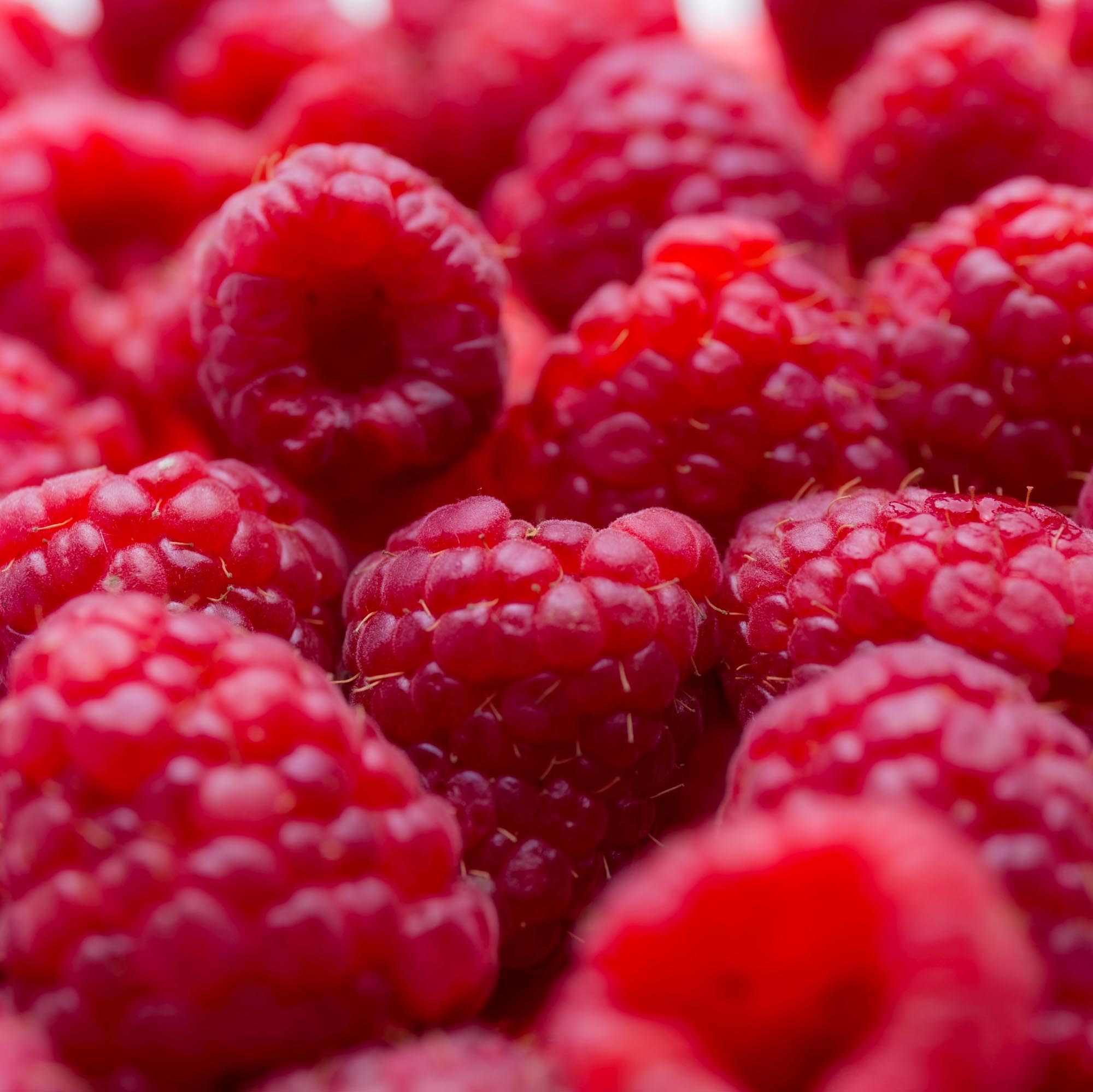 Sorbet Framboise