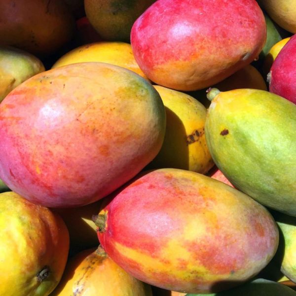 mangue